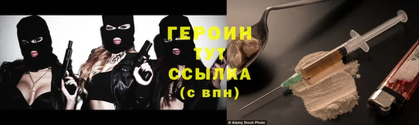 прущие грибы Вяземский