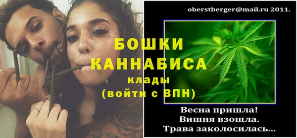 ГАЛЛЮЦИНОГЕННЫЕ ГРИБЫ Вязники